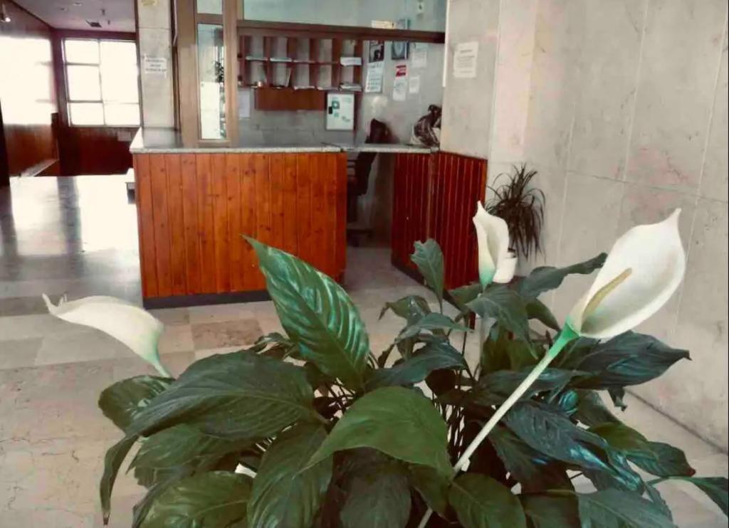 La Posada Del Viajero Lägenhet Torremolinos Exteriör bild